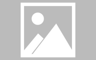 枣庄武清网站建设方案（天津武清政府招标网）